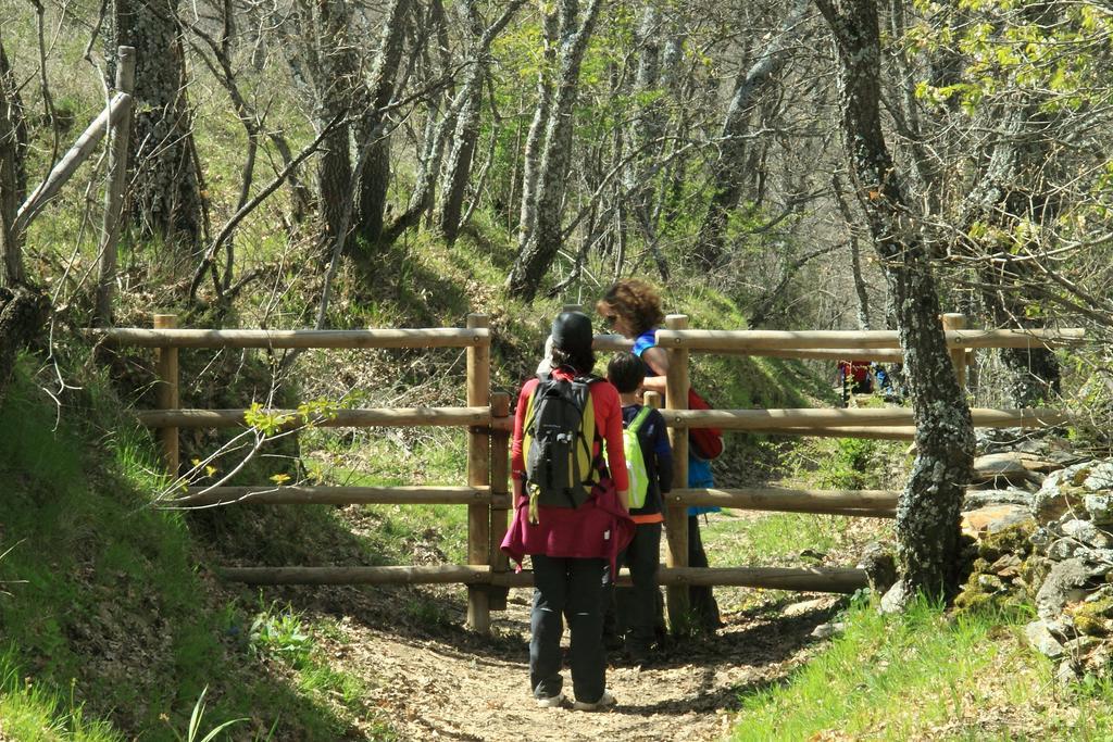 El Abejaruco (adults Only) Campillo de Ranas